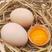 【产地直供】新鲜土鸡蛋散养农村正宗柴鸡蛋批发整箱笨鸡蛋