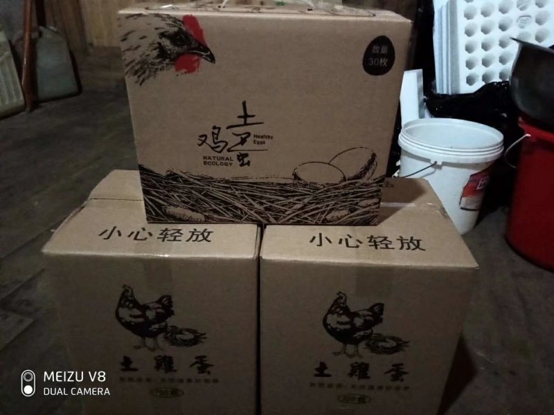 鸡蛋农户散养绿壳鸡蛋现捡现发产地无公害认证现捡现发