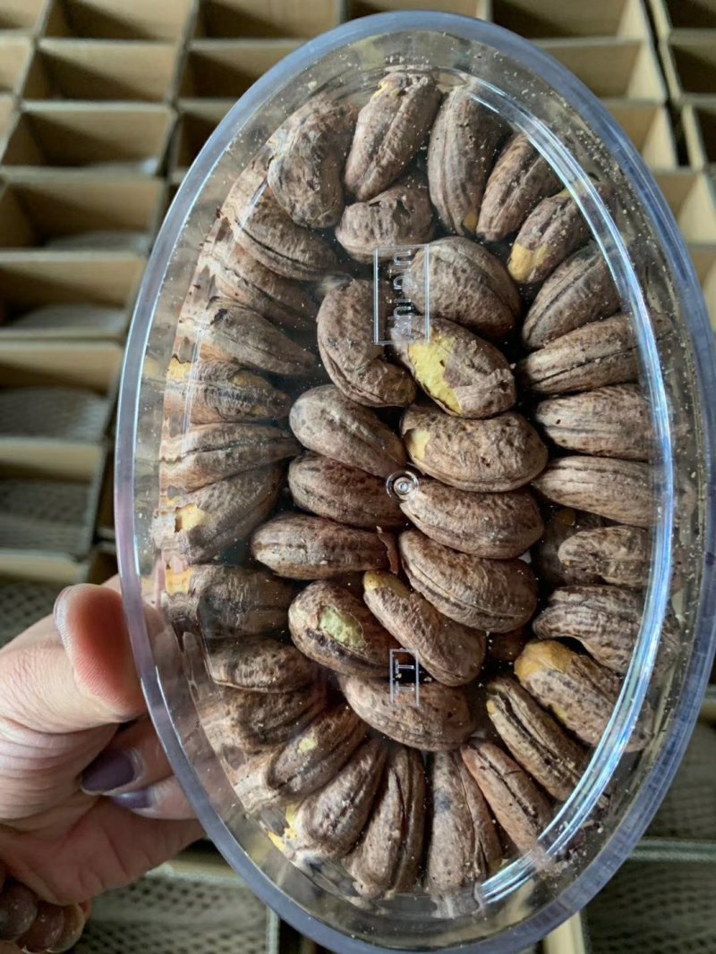越南大腰果（批发价）有量有新价