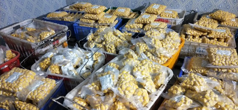板栗，中号，炒货，炒板栗，社区团购、电商**