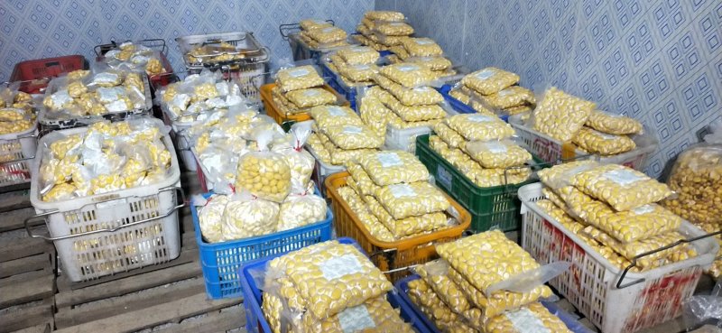 板栗，中号，炒货，炒板栗，社区团购、电商**