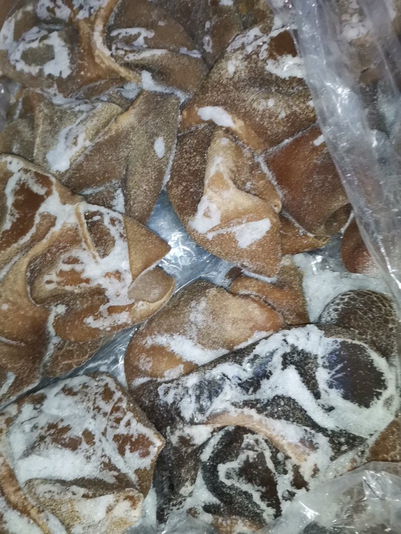 羔羊熟肚，照片实物拍摄，质量保证物流发货