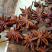 八角香料