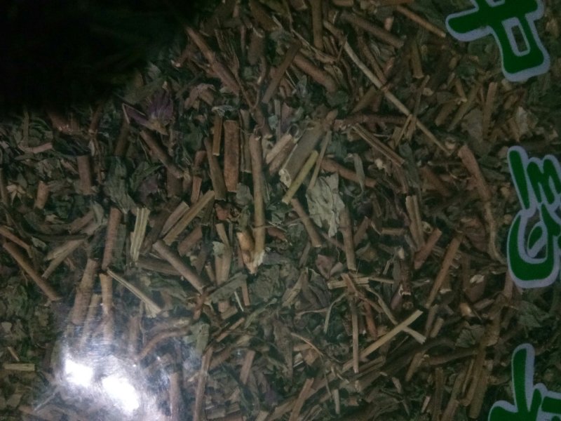 飞扬草大飞扬乳籽草飞相草节节花大飞杨批发零售
