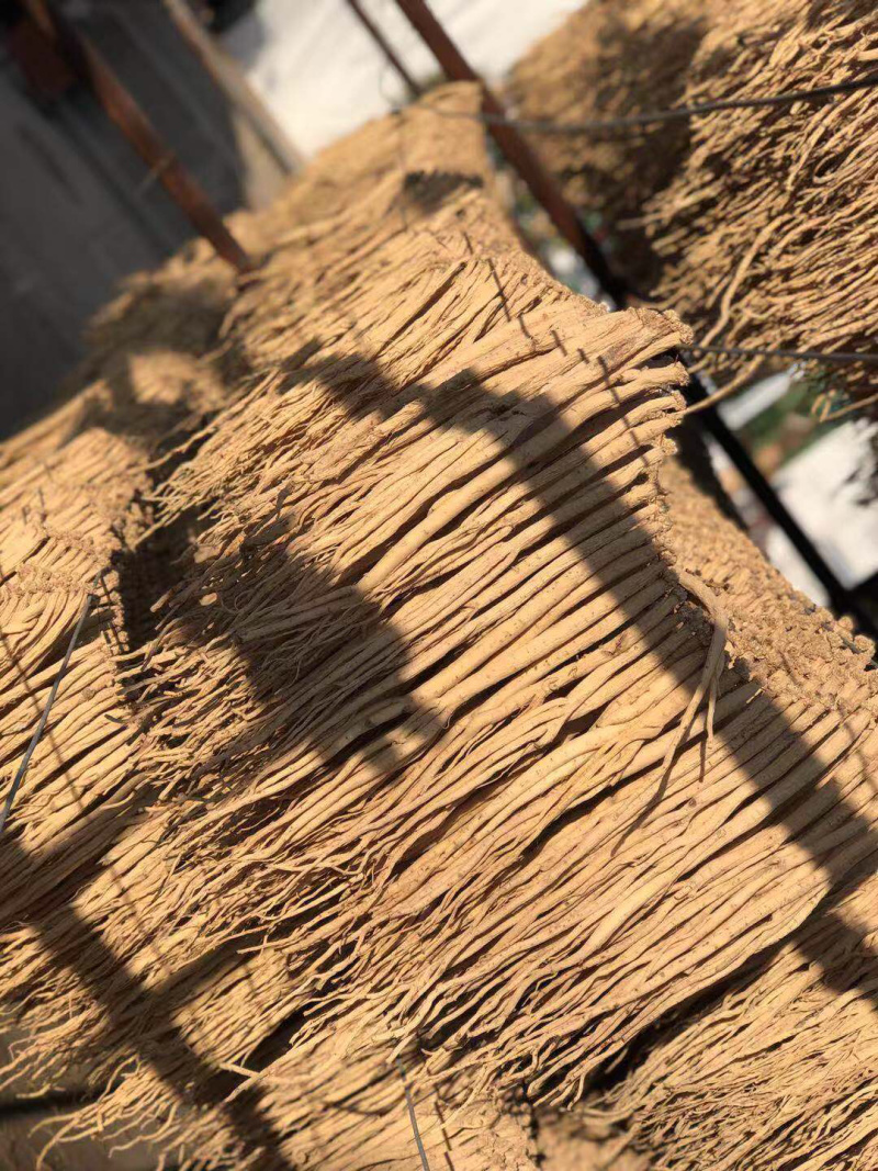 【产地直供】白条党参产地直供无硫小条薄利多销