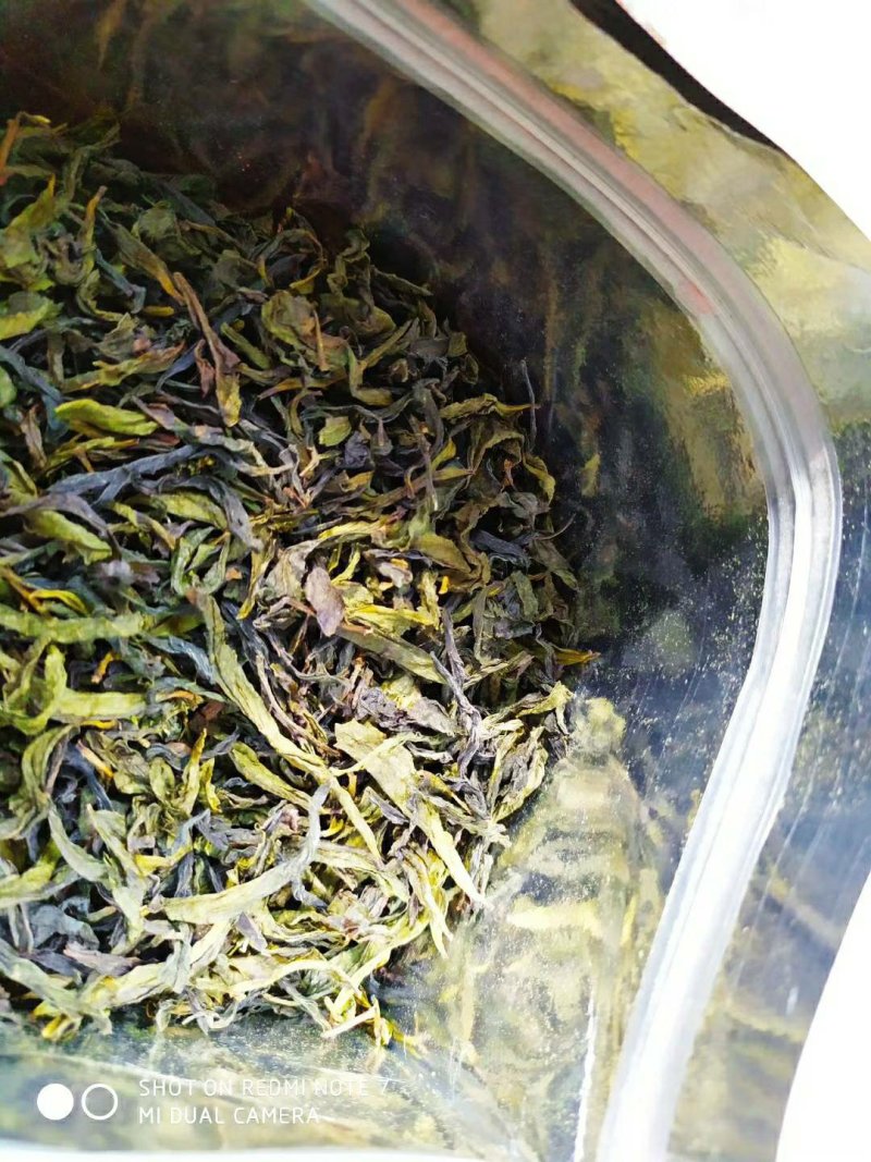 黄旦茶叶高山茶潮汕八仙茶惠来土山茶高山黄旦土山茶1斤1袋