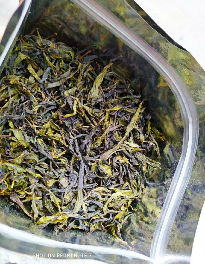 黄旦茶叶高山茶潮汕八仙茶惠来土山茶高山黄旦土山茶1斤1袋