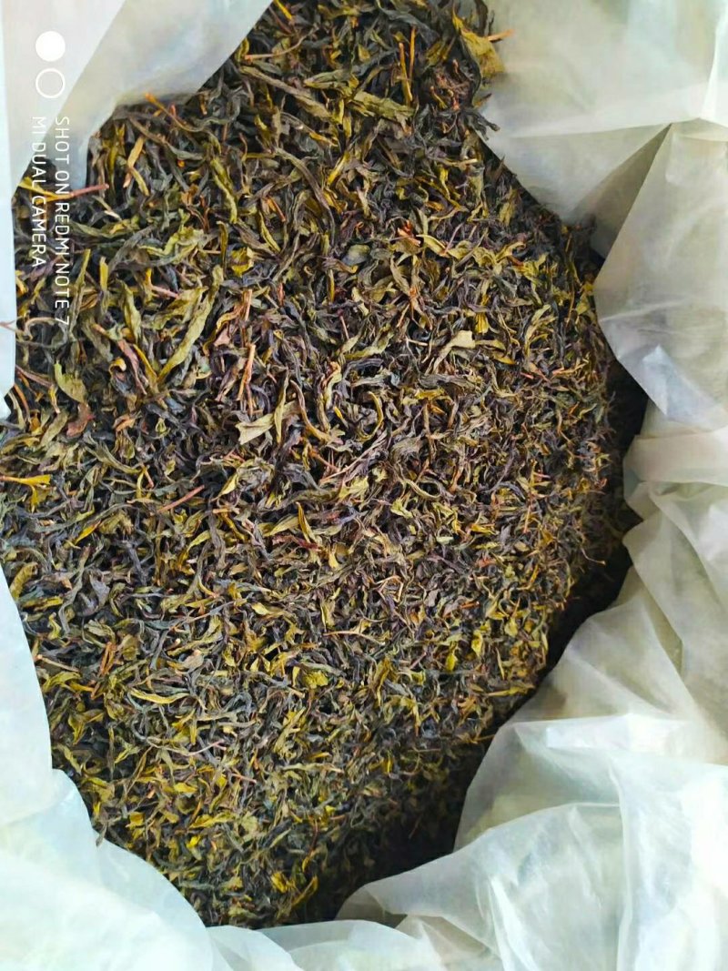 黄旦茶叶高山茶潮汕八仙茶惠来土山茶高山黄旦土山茶1斤1袋