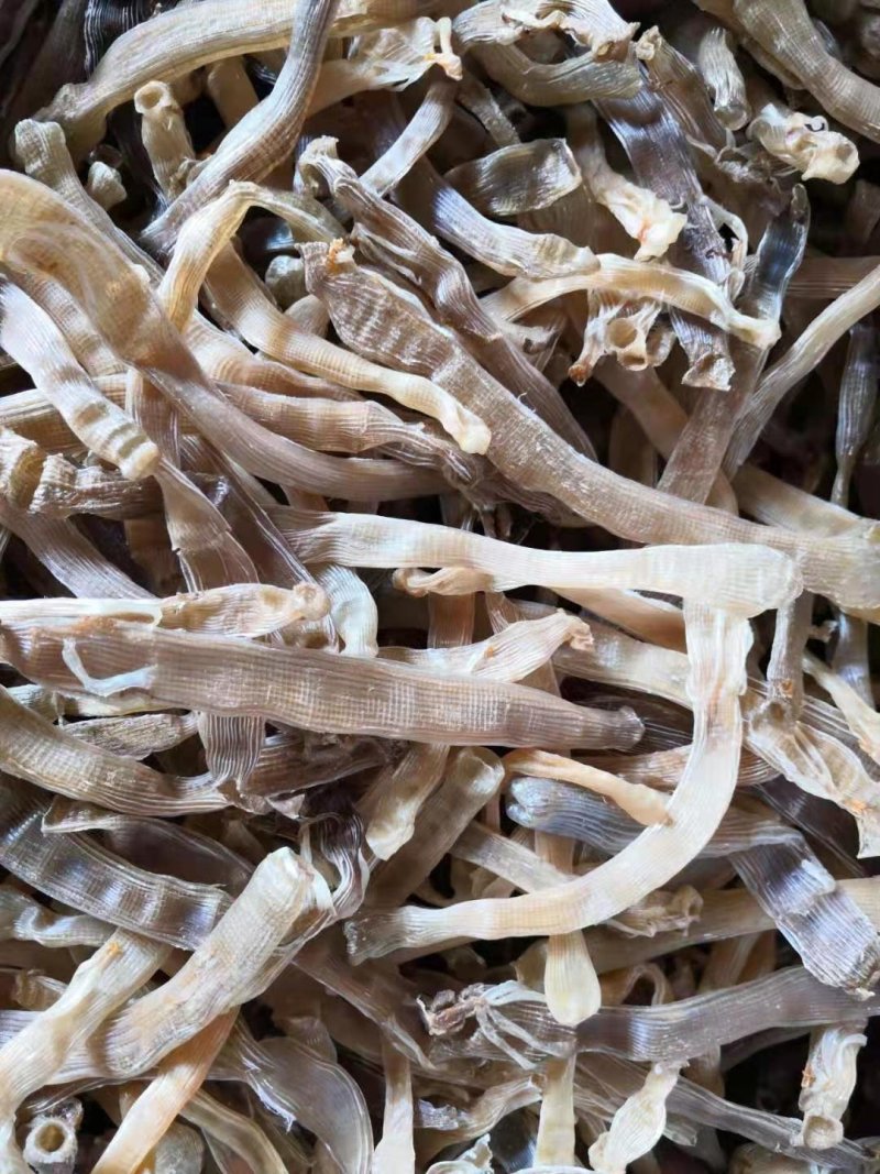 批发沙虫干（巨鲸水产出品）