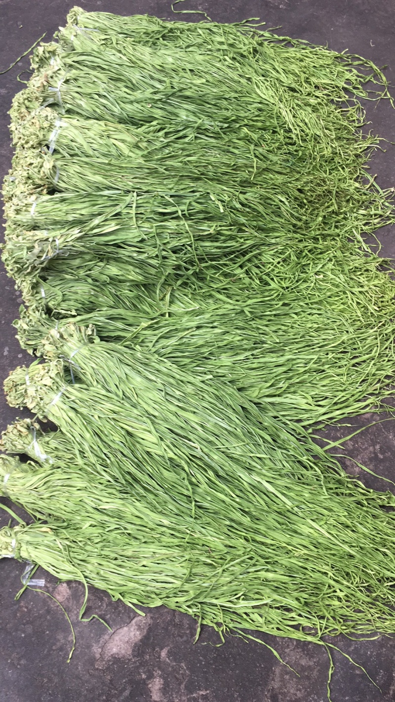 贡菜
