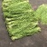 贡菜