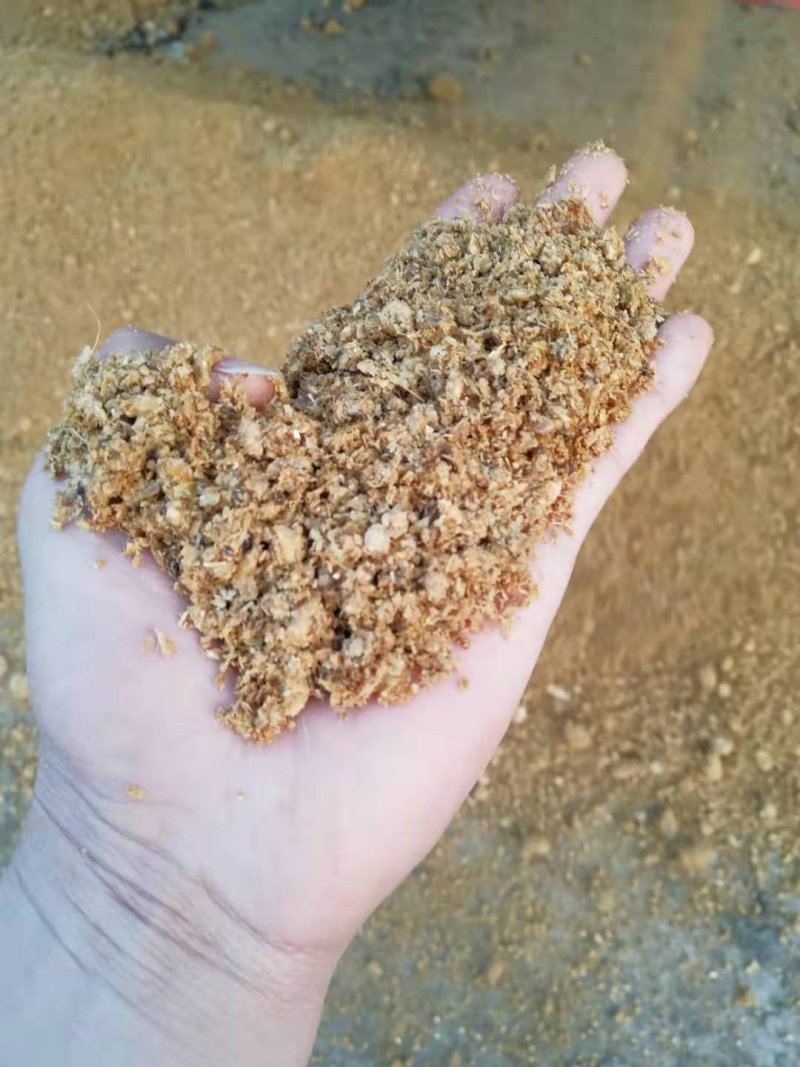 废菌渣有机肥生物颗粒燃料菌渣