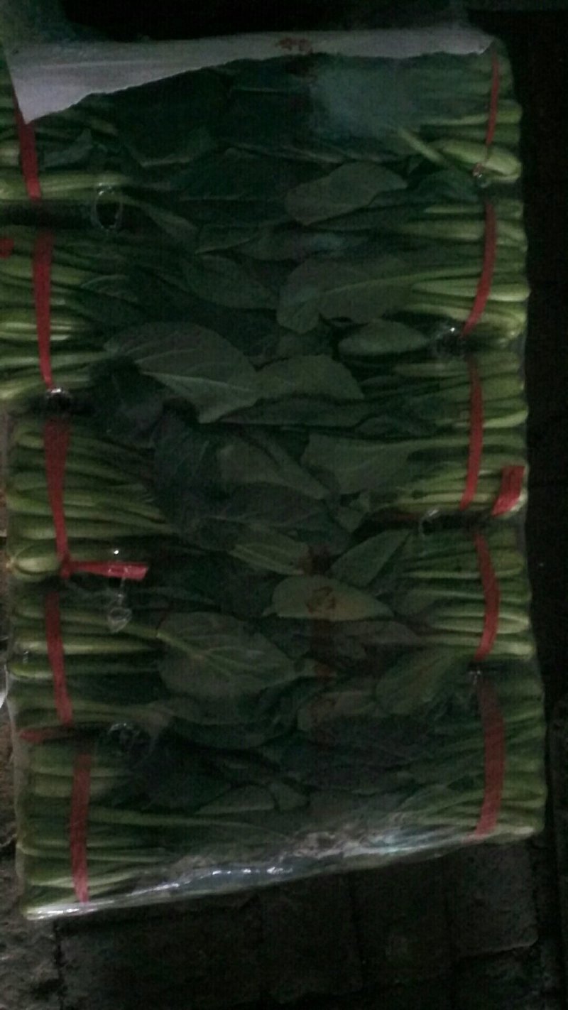 小油菜