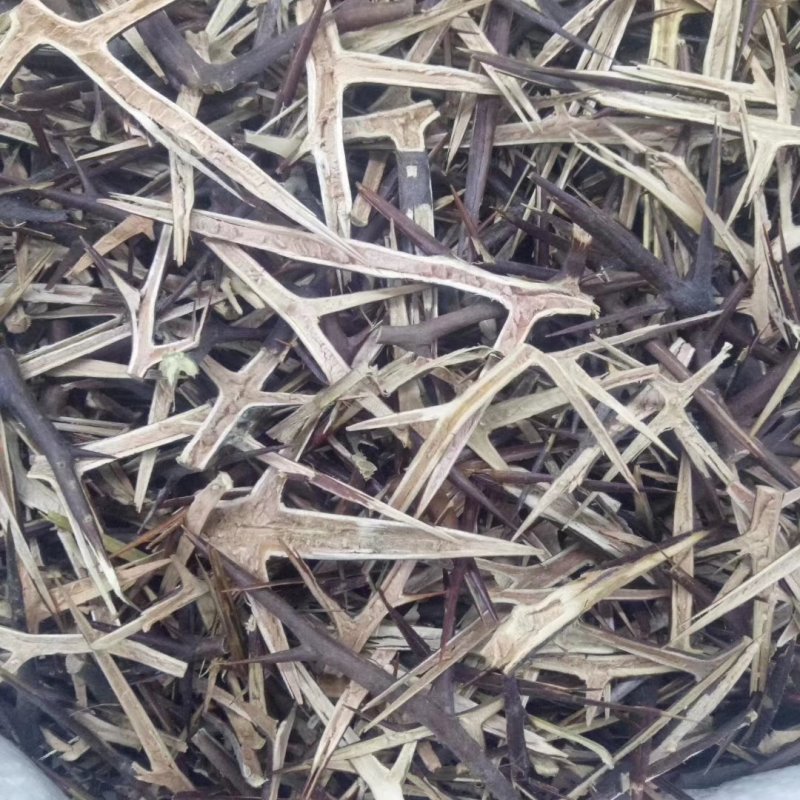 皂角刺皂角针天丁皂角角针中药材批发