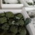 【推荐】精品西蓝花，根据客户需求提供包装人工