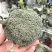 【推荐】精品西蓝花，根据客户需求提供包装人工