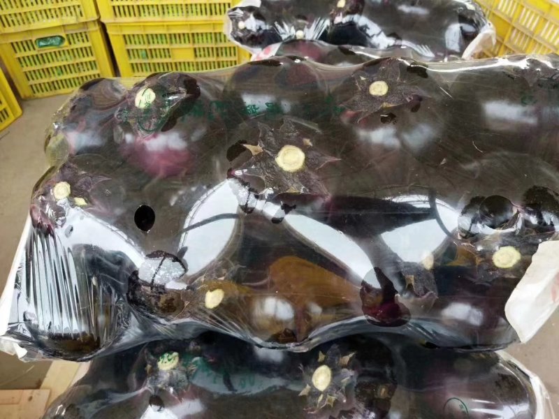 大量供应精品园茄，产地直供，按需分拣，保证质量，联系吧