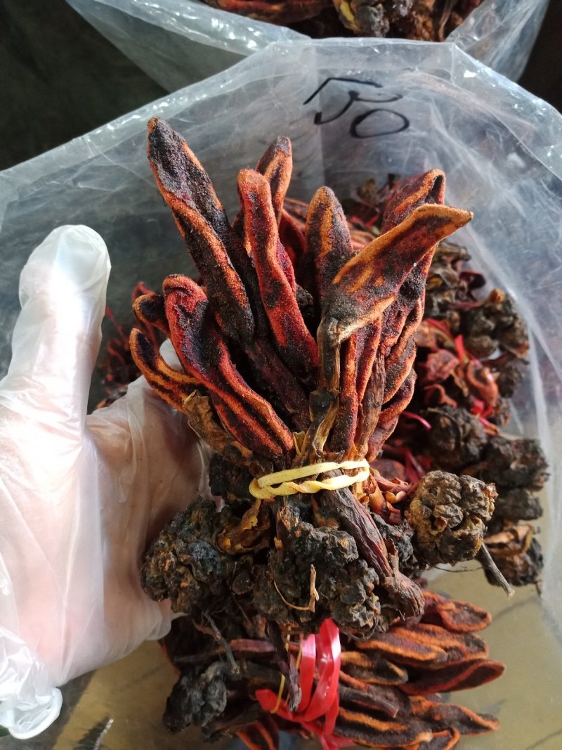 回春草云南泡酒药用泡酒料批发零售各种规格中药材