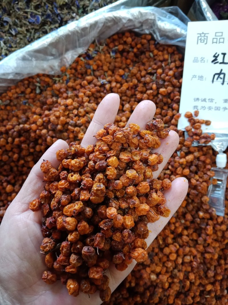 沙棘果干沙棘批发零售各种中药材沙棘批发零售