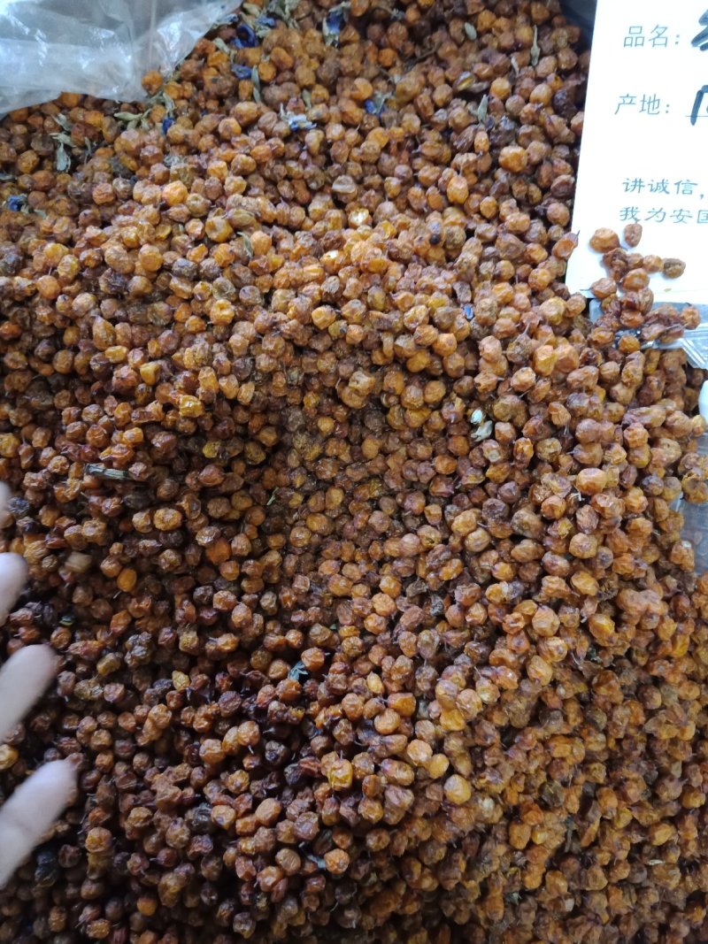 沙棘果干沙棘批发零售各种中药材沙棘批发零售