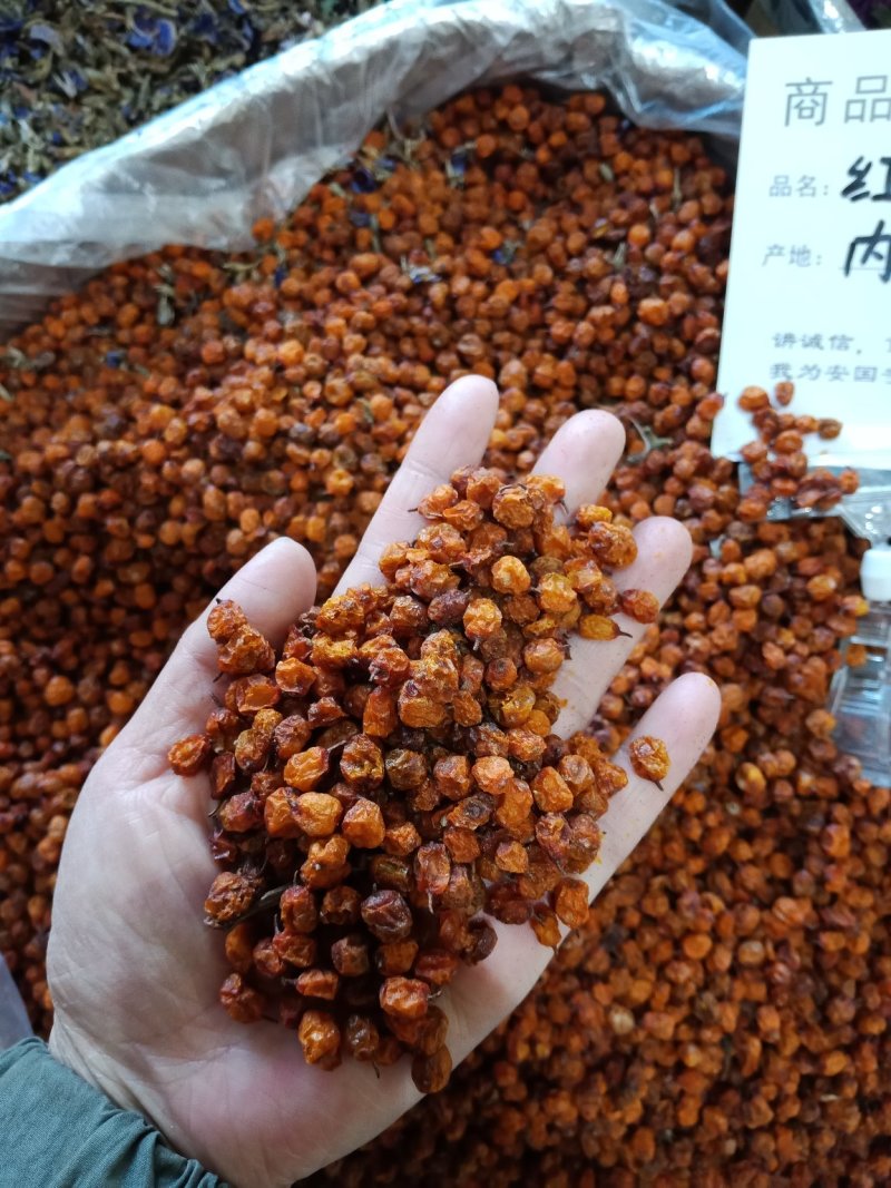 沙棘果干沙棘批发零售各种中药材沙棘批发零售