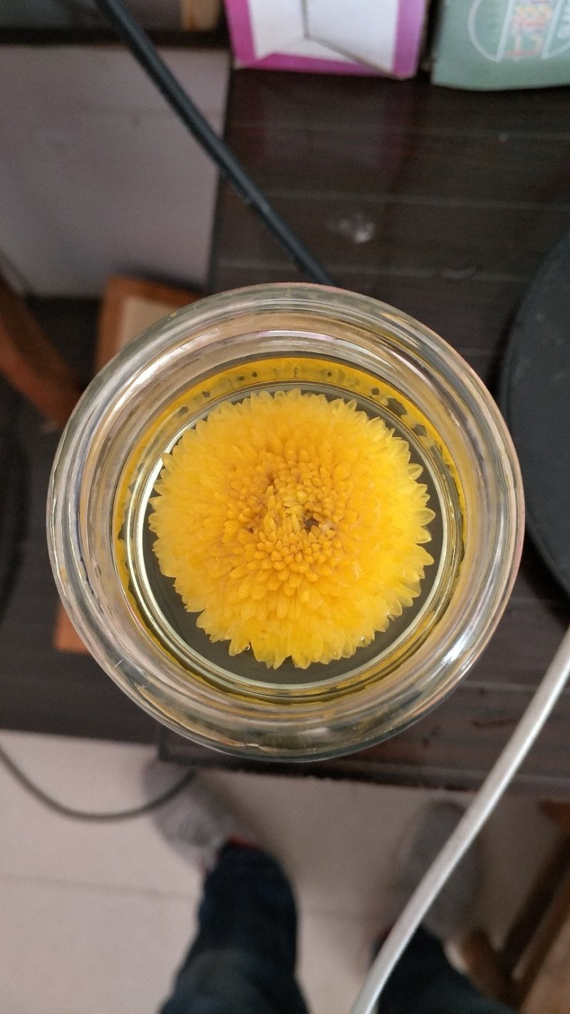 菊花种植基地河南茂林菊业直供(桃菊精品)