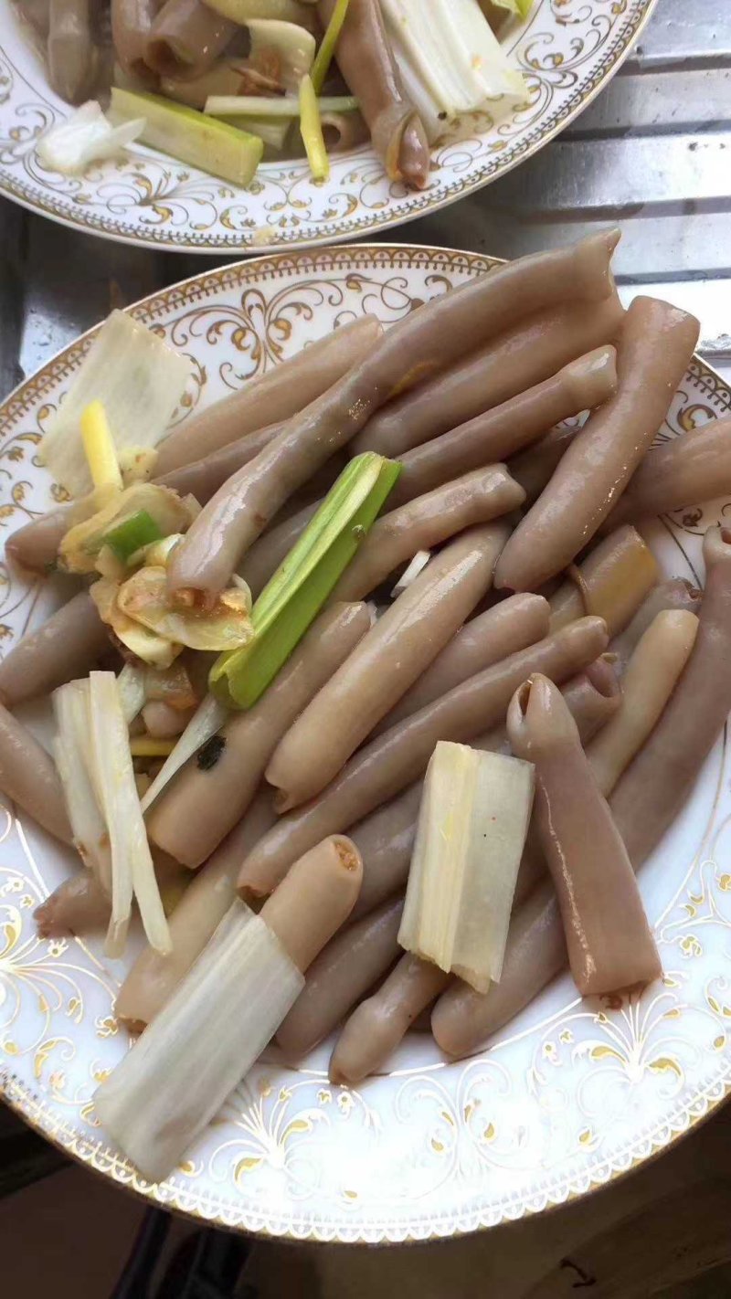 烟台本地海肠，海肠，厚皮海肠，一手货源，大量批发