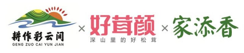 【有好货】云南松茸，顺丰空运包邮，可代发