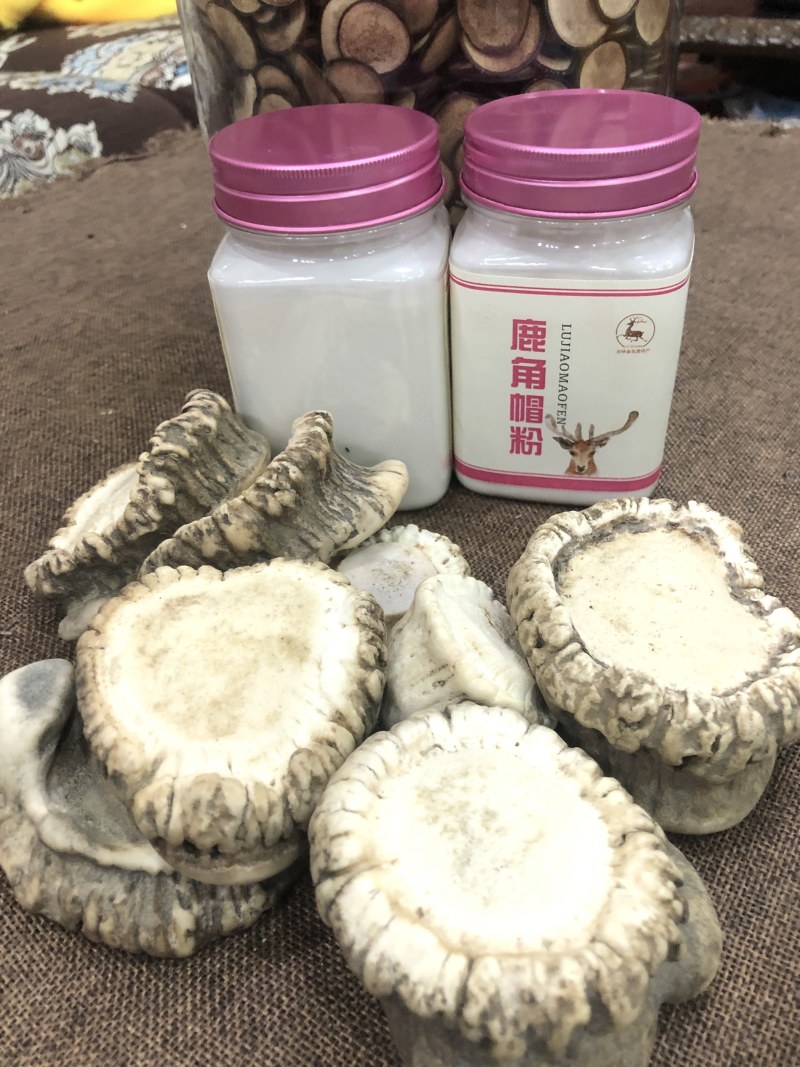 梅花鹿角帽鹿托盘粉吉林双阳鹿乡关爱女士