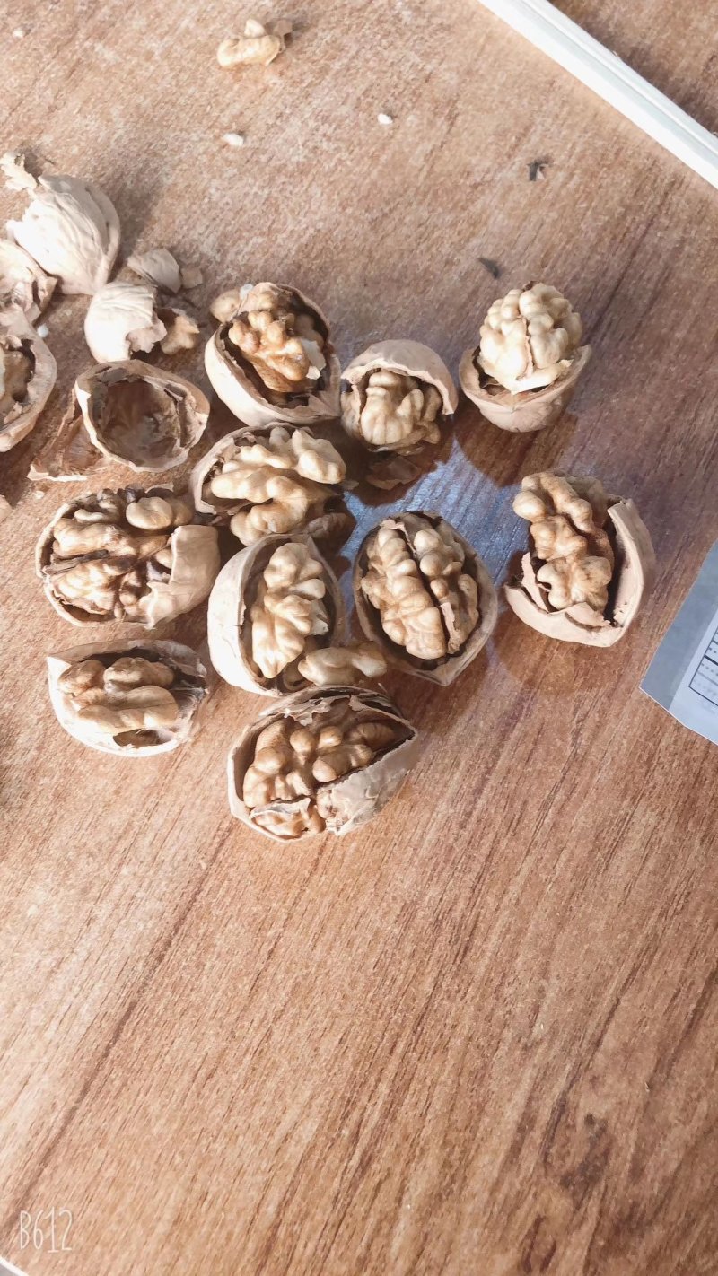 新疆薄皮核大果保质保量批发全国一件代