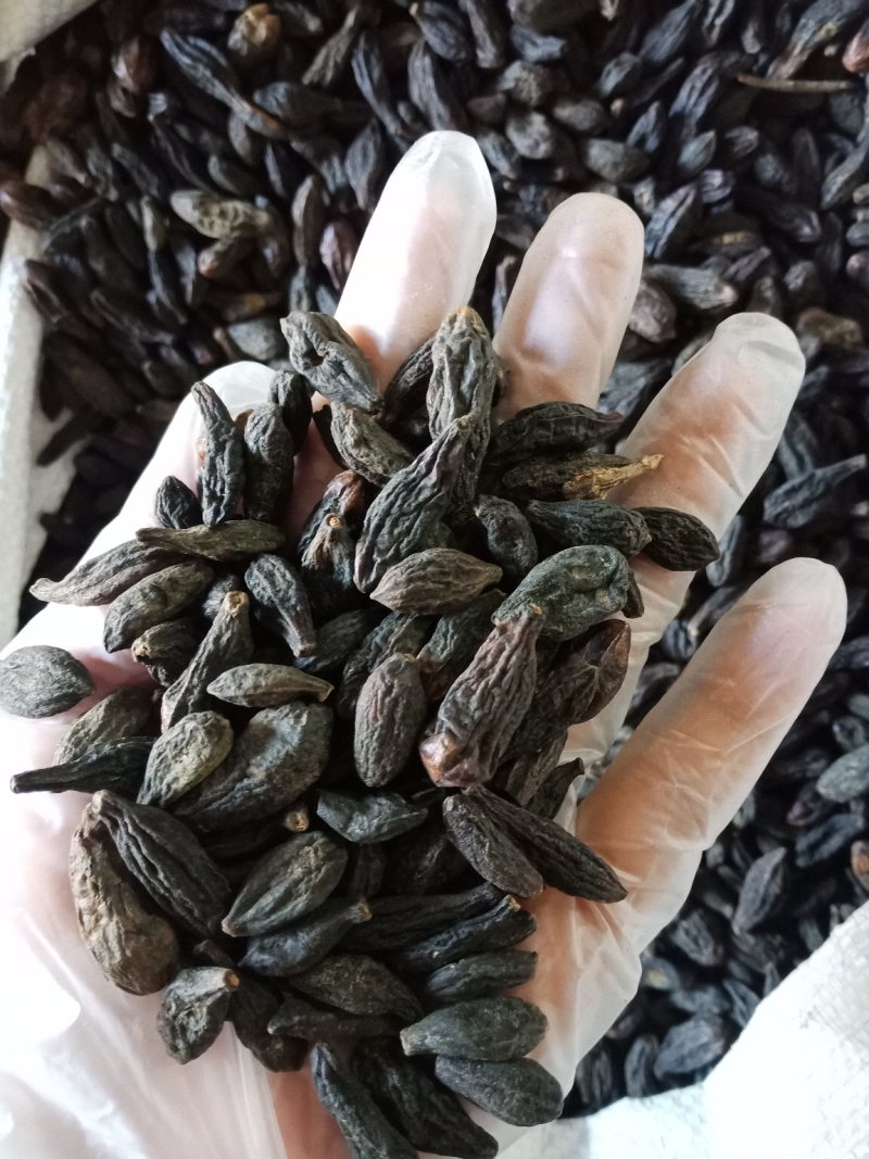 橄榄青果甘青果调料西青果干货西青果批发零售各种规格中药材