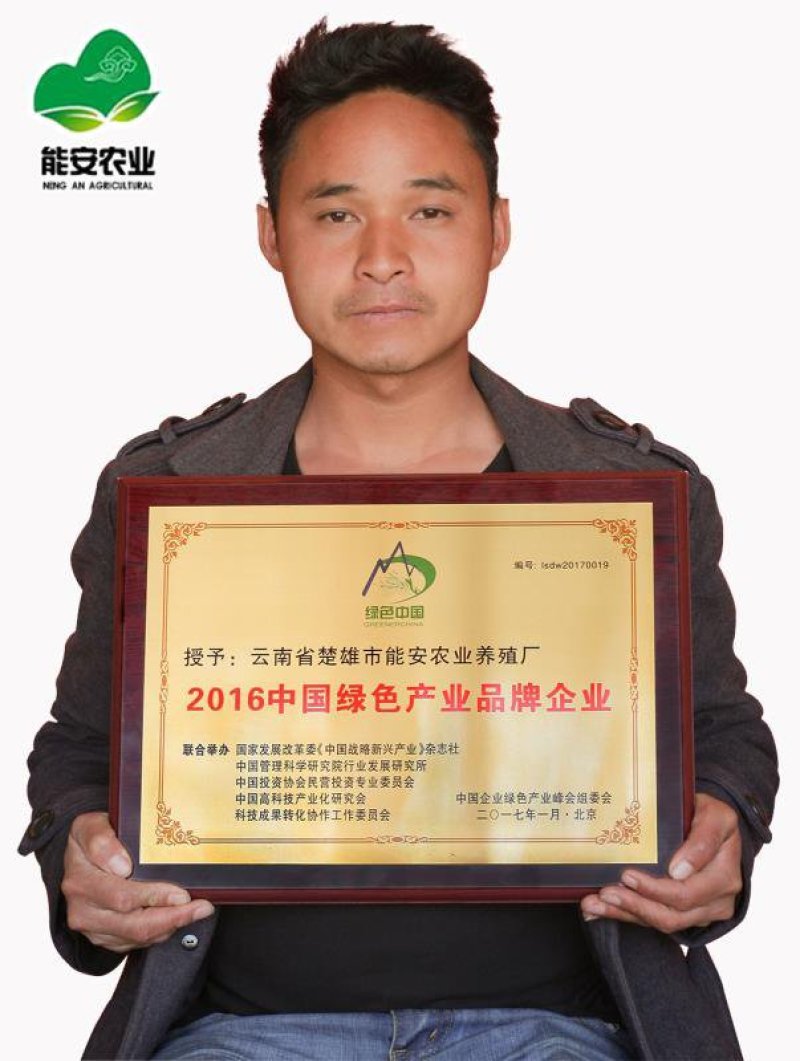 云南彝族黑山羊50斤以上公羊母羊包运输可到付（详询）