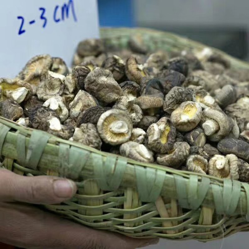 干香菇包邮，袋料干香菇中国香菇之乡
