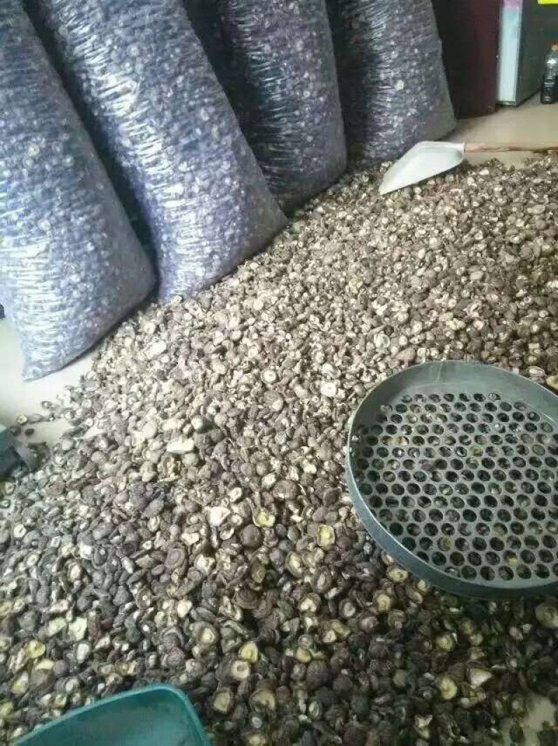 干香菇包邮，袋料干香菇中国香菇之乡