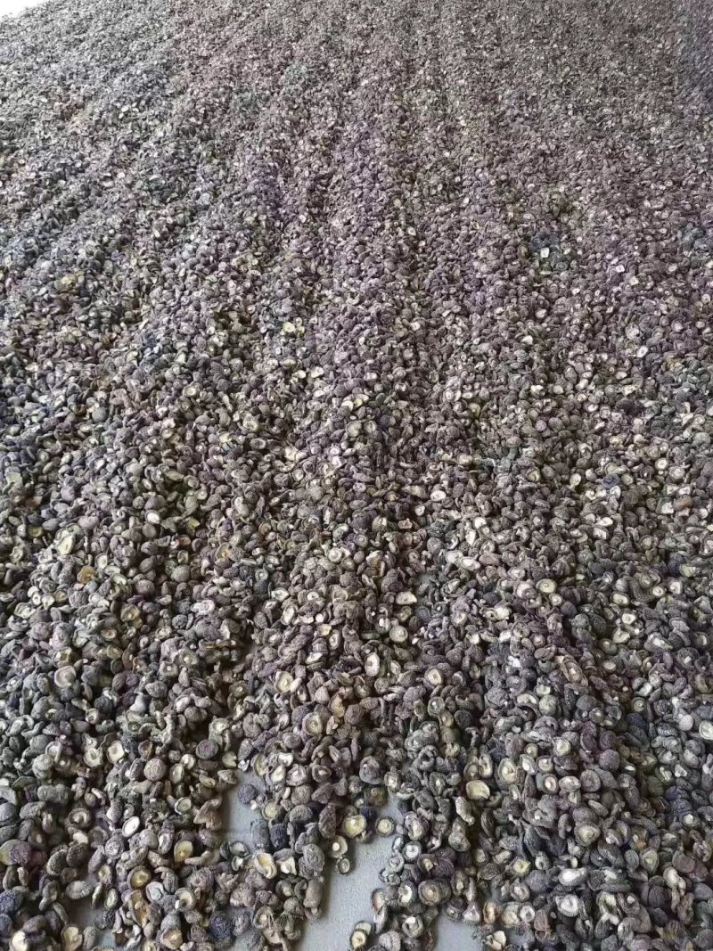 干香菇包邮，袋料干香菇中国香菇之乡
