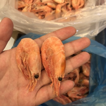 北极虾