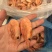 北极虾