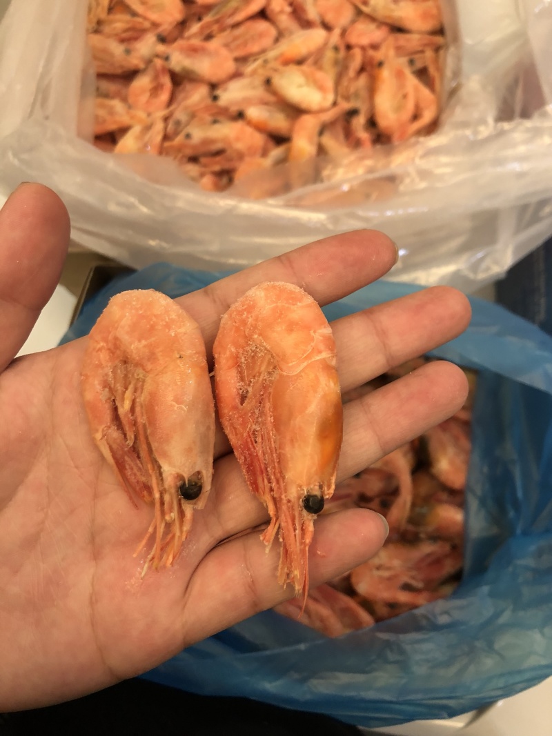 北极虾