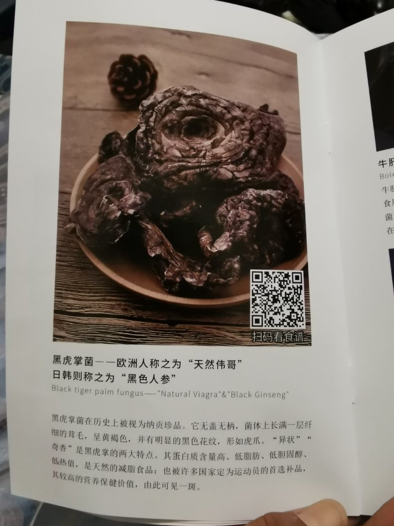虎掌菌自家考的产地直供精选的4到9以上有800公斤