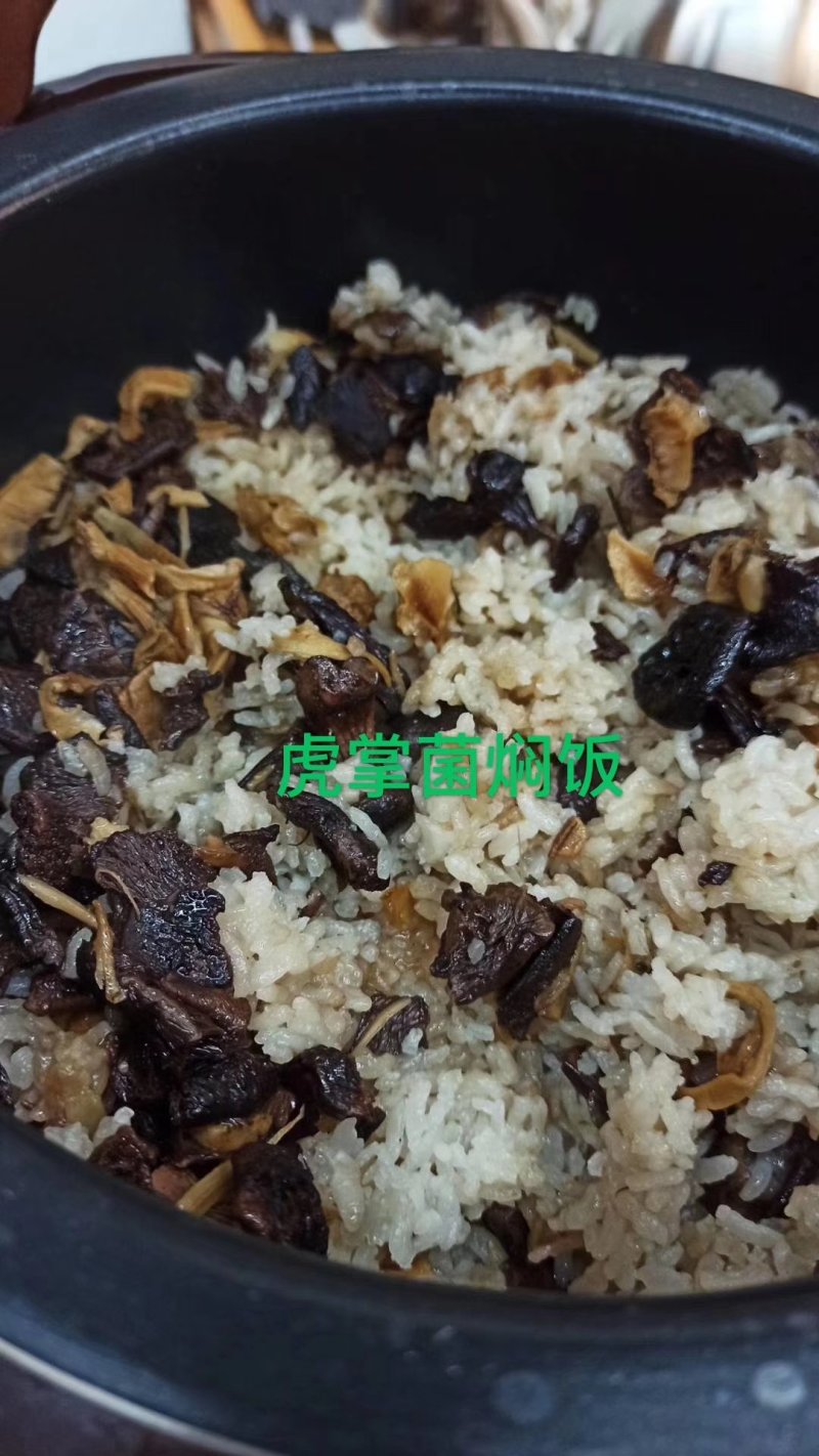 虎掌菌自家考的产地直供精选的4到9以上有800公斤