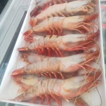 虾类