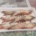 虾类