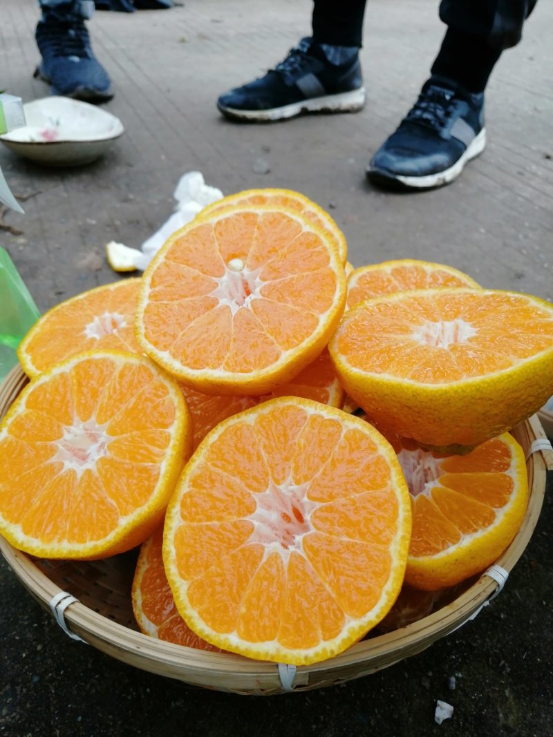 四川丑八怪不知火，口感脆甜化渣大量对接市场电商，欢迎合作