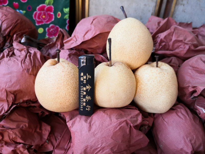 头茬蒲城酥梨贡梨摸袋蜜梨陕西酥梨砀山酥梨后期二茬酥梨，梨