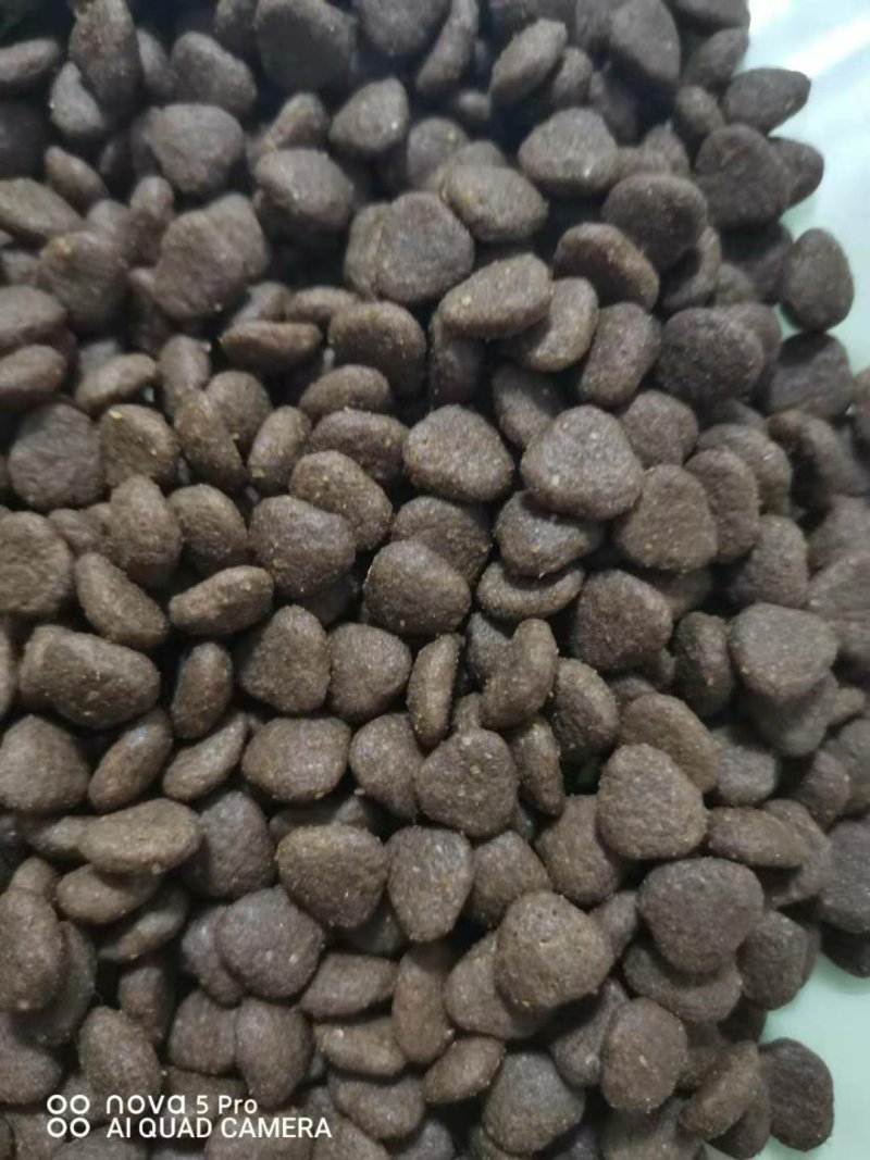 狗粮