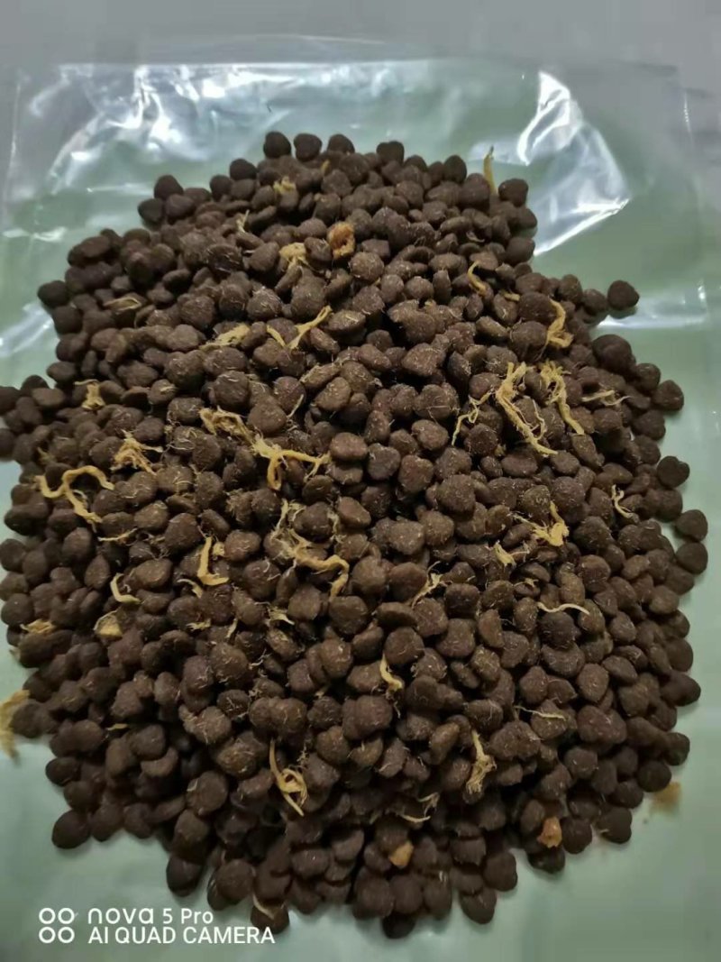 狗粮