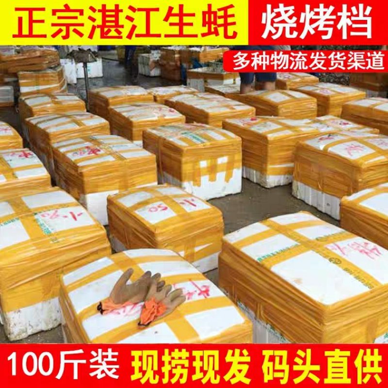 湛江官渡生蚝批发原产地直供售后保障支持免费拿样