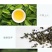19年新茶枸杞芽茶宁夏特产芽菜嫩芽中宁枸杞叶茶叶