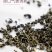 19年新茶枸杞芽茶宁夏特产芽菜嫩芽中宁枸杞叶茶叶