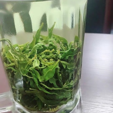 19年新茶枸杞芽茶宁夏特产芽菜嫩芽中宁枸杞叶茶叶